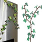 🔥 LAST DAY -BUY 2 GET 1 FREE 🔥 3D Printed Ivy Leaf Refrigerator Stickers